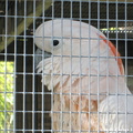 IMG 0081